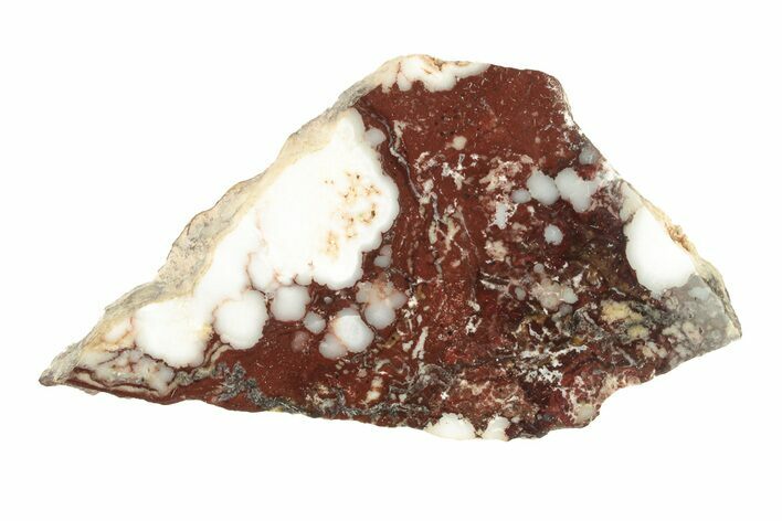 Polished Wild Horse Magnesite Slice - Arizona #264035